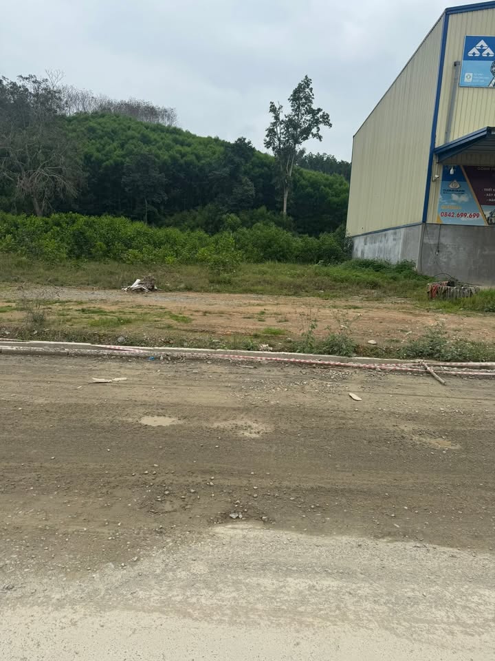 Bán Đất Thổ Cư 396m² Mặt Tiền TL 519B, Như Xuân, Thanh Hóa - Sẵn Sàng Kinh Doanh