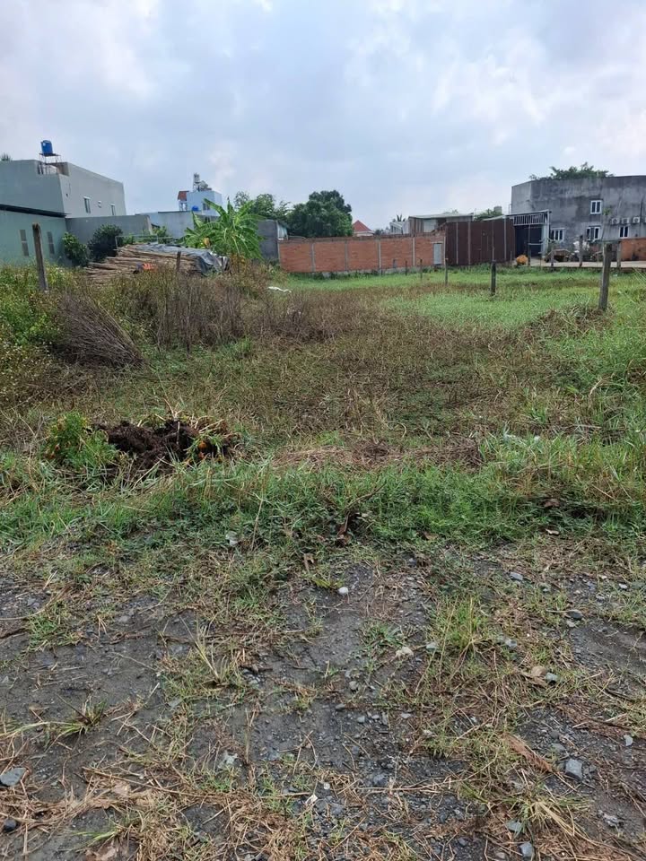 Đất nền Mỹ Hạnh Nam 250m² 2.1 tỷ - Sổ hồng chính chủ