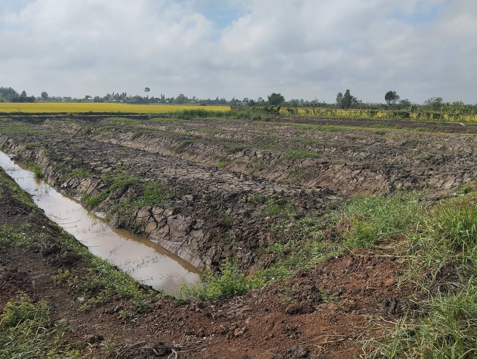 Đất nền Phường Mỹ Phú, Cao Lãnh 700m² - Sổ đỏ chính chủ