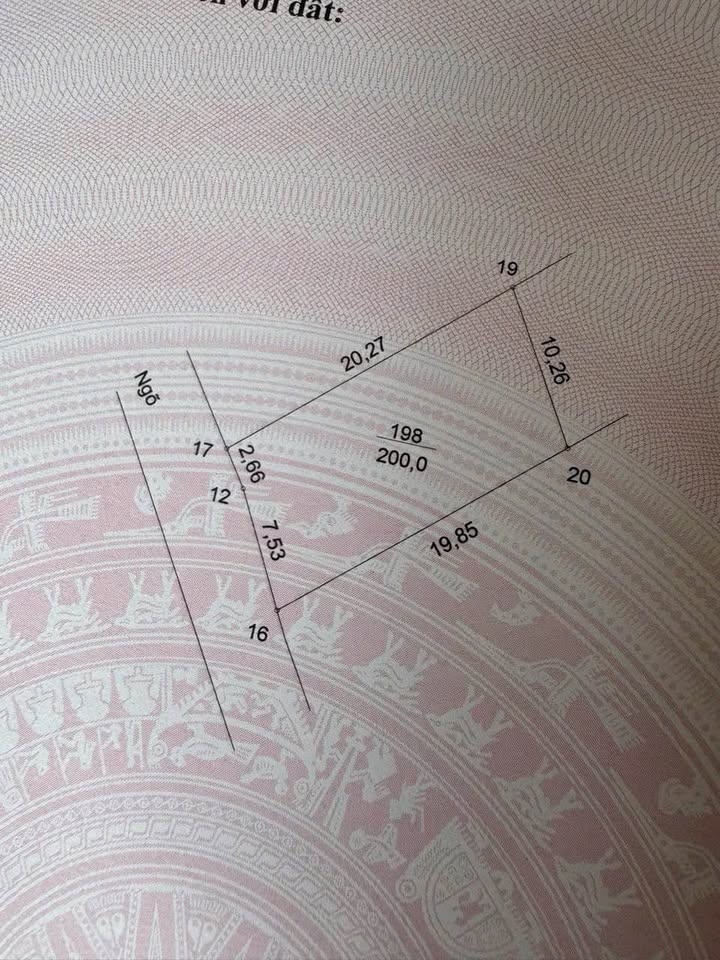 Đất nền Ba Vì 200m² giá 2 tỷ - Sổ hồng chính chủ, nở hậu phát lộc!