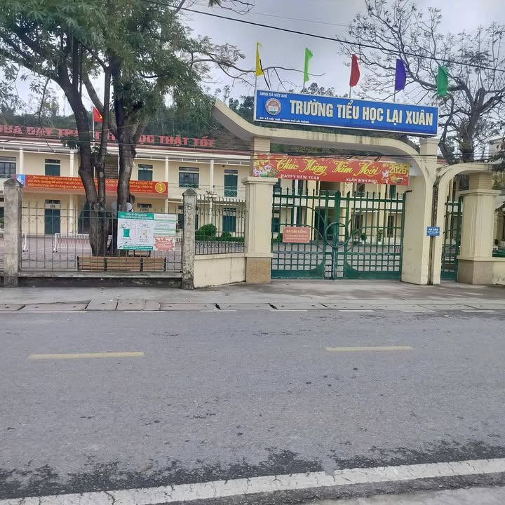 Bán Cặp Song Sinh 61.5m² Thôn 11 Liên Xuân, Thủy Nguyên - Sổ Đỏ Sẵn Sàng