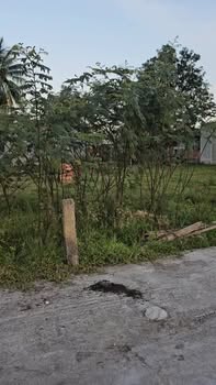 Lô Đất Phú Sơn Nam Hòa Vang 149.6m² giá 1.38 tỷ - Tiềm năng tăng giá