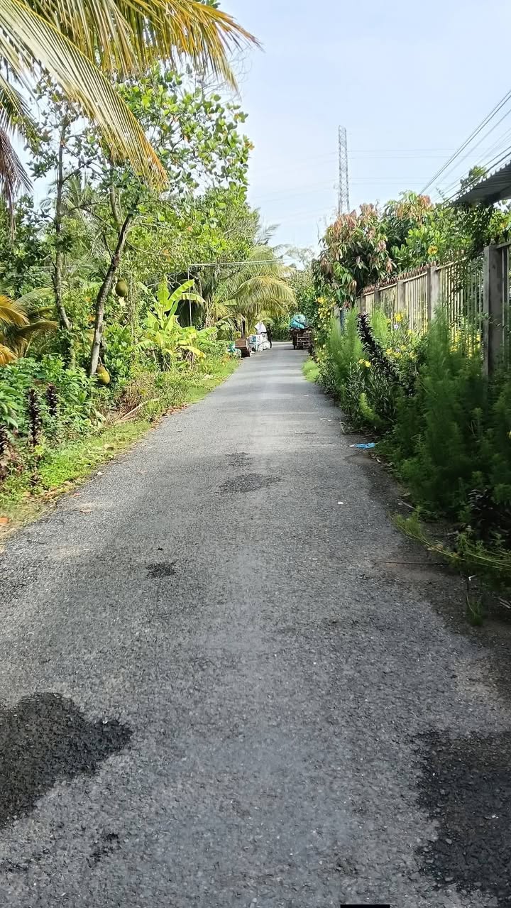 Đất Vườn Thanh Hòa, Cai Lậy 2772m² – Sổ Đỏ Chính Chủ!