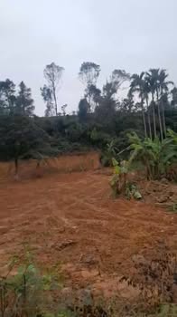 Đất Vàng 243m² Thạch Hà - Sổ Đỏ Sẵn Sàng, Gần Cao Tốc