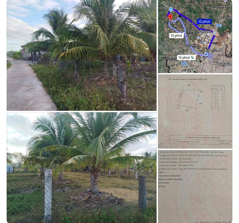 Đất Vườn Hàm Liêm 960m² - Gần Phan Thiết, Sổ Đỏ Chính Chủ, Giá Đầu Tư 499 Triệu
