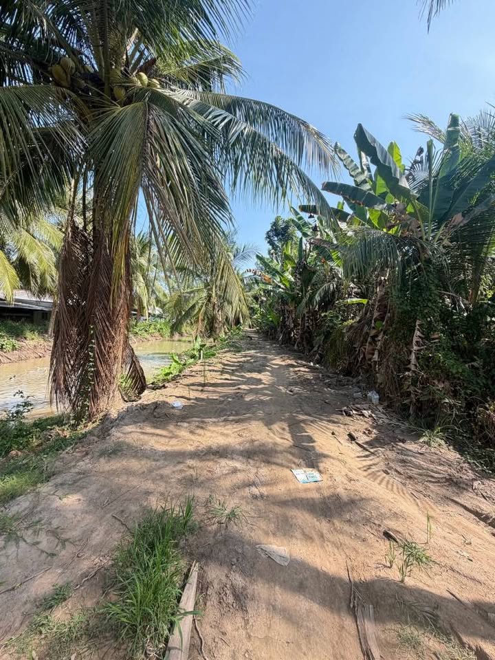 Đất Vườn Trà Vinh 14760m² - Cặp Kênh, Giá Tốt