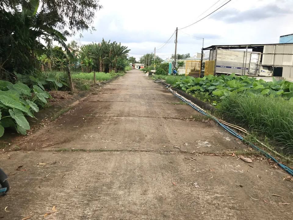 Đất nền Khu dân cư Hoà Mỹ 135m² - Đất thổ cư 100%, giá 720 triệu