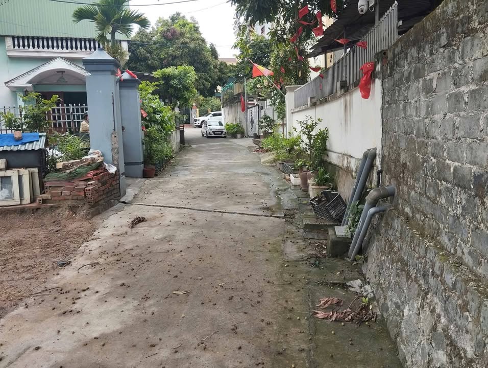 Đất nền Mạo Khê, Đông Triều 130m² - Sổ đỏ chính chủ, tiềm năng sinh lời!