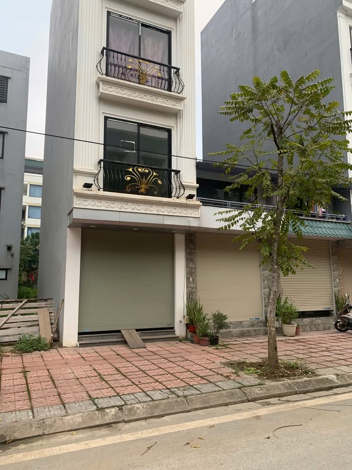 Nhà phố Lý Sơn Long Biên 94m² - Mặt tiền kinh doanh đắc địa!