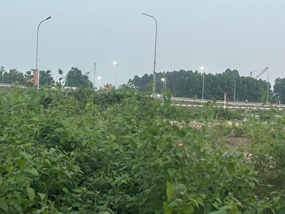 Đất nền Đồng Sơn, Bắc Giang 95m² 3 tỷ - Tiềm năng tăng giá cực cao!