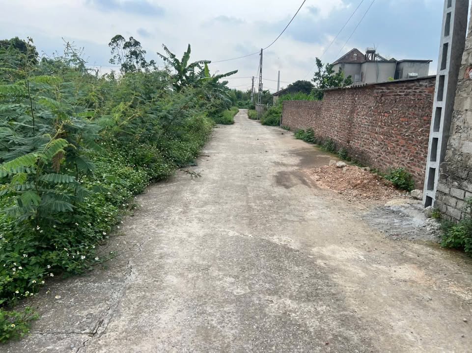 Đất nền Liên Bão, Tiên Du 360m² giá 1 tỷ - Sổ đỏ chính chủ!