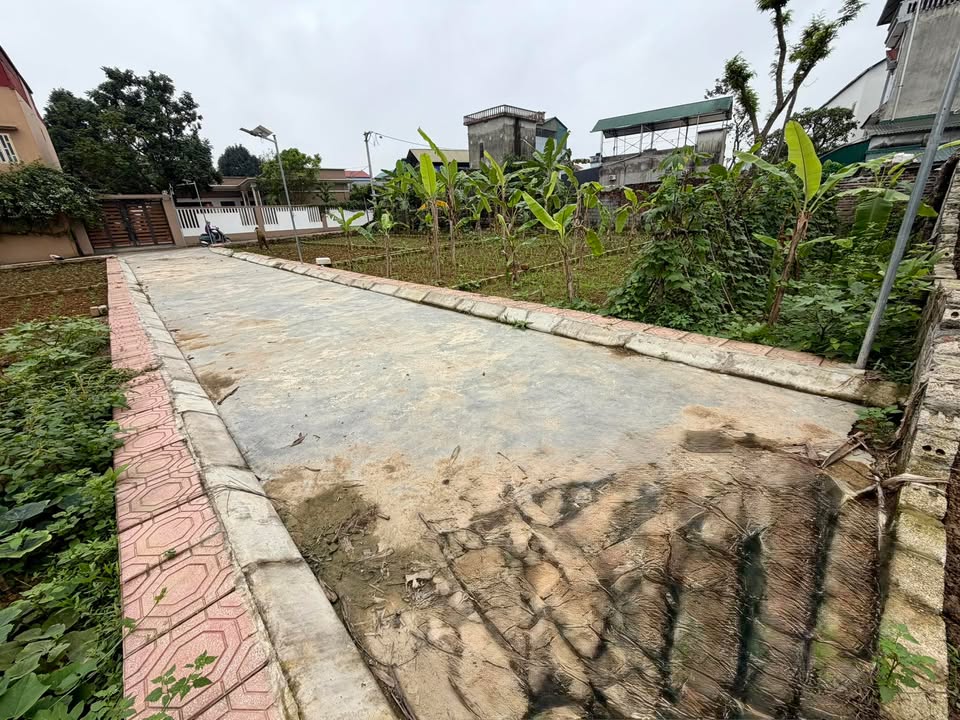 Đất nền Phúc Sơn, Mỹ Đức 90m² - Tiềm năng tăng giá, ô tô vào tận đất!