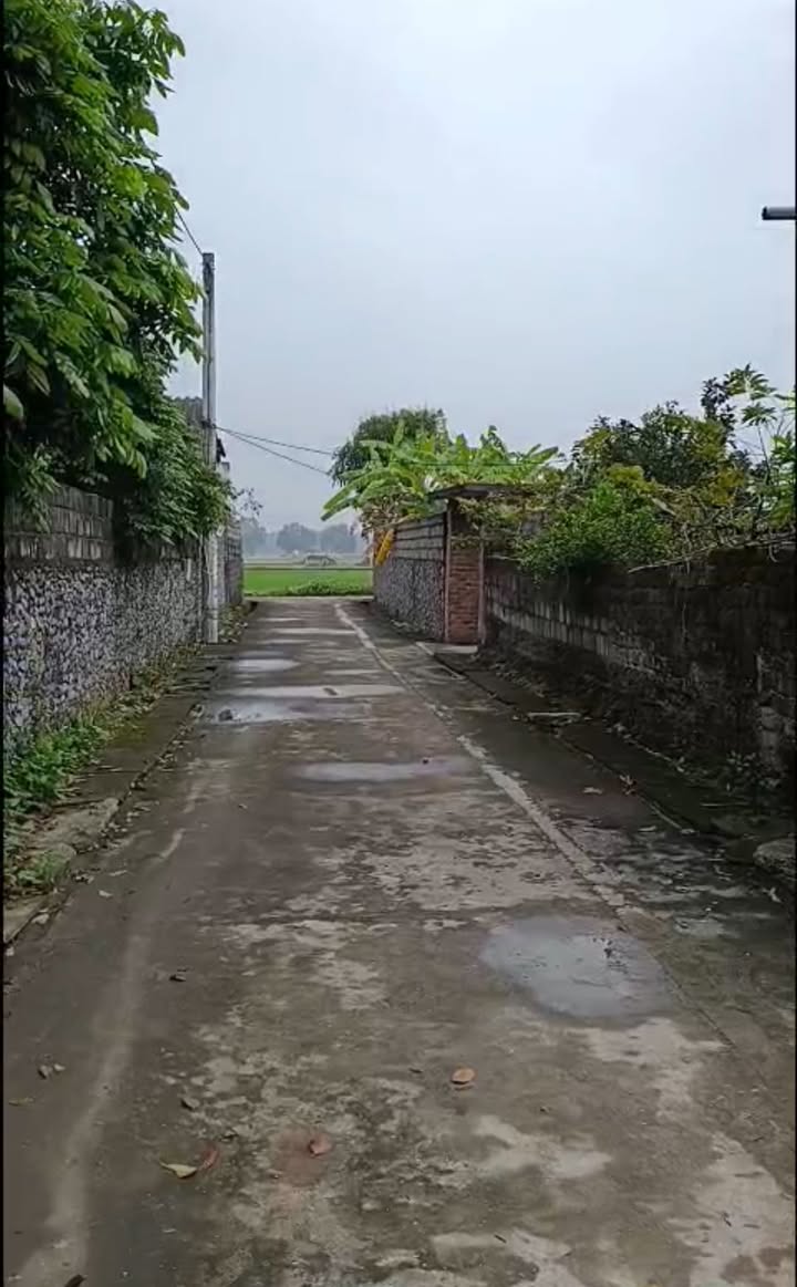 Đất nền Vạn Kim, Mỹ Đức 86.9m² - Ô tô vào tận nơi, giá tốt!