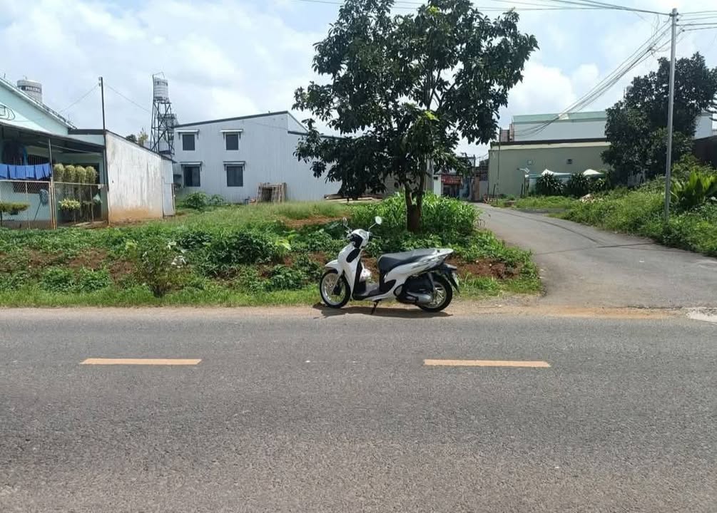 Bán Đất Góc 2 Mặt Tiền Nguyễn Hữu Chỉnh, Bảo Lộc - 318m² Thổ Cư, Giá 6.4 Tỷ