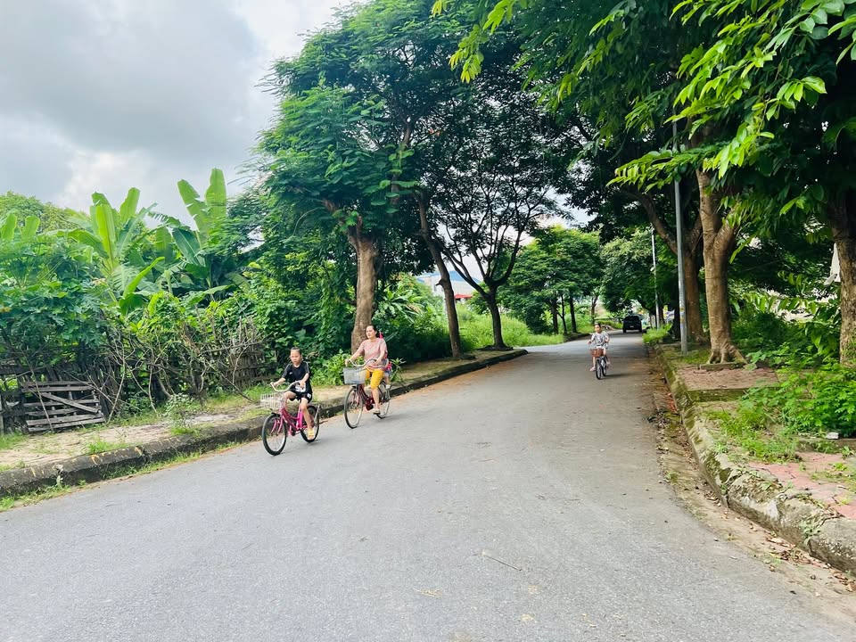 Đất nền An Trì, Hồng Bàng 60m² - Đường to ô tô, tiềm năng tăng giá!