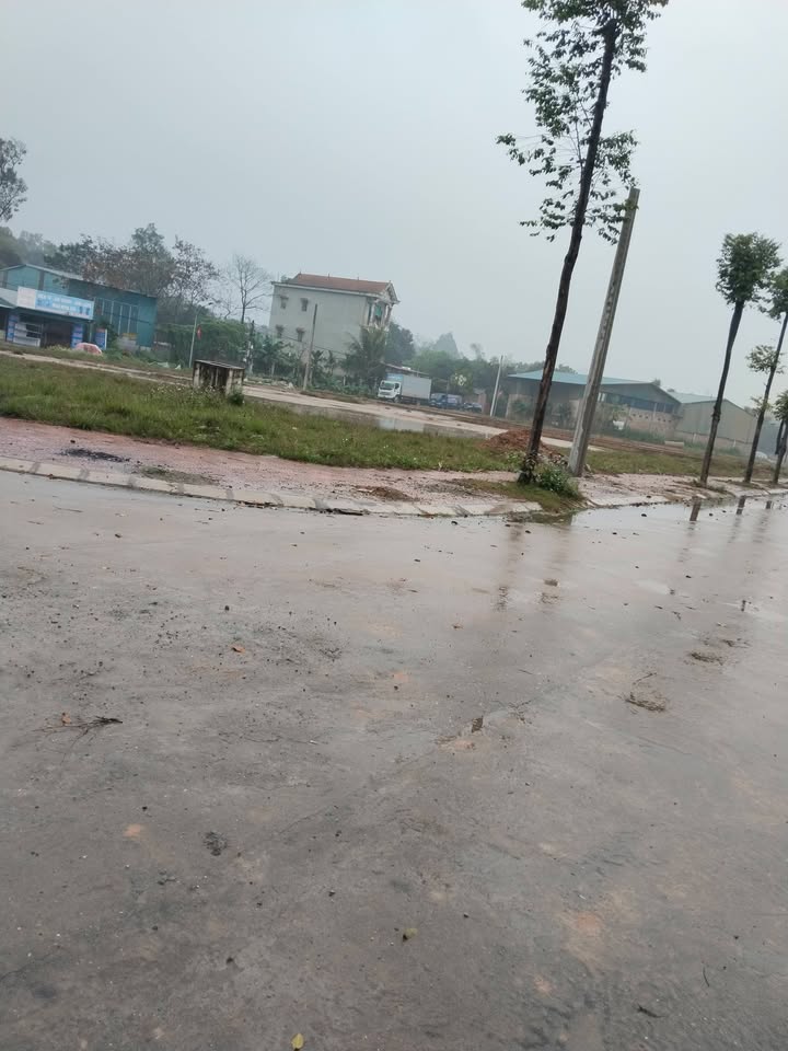 Đất nền Bàn Giản, Lập Thạch 133m² - Pháp lý rõ ràng, tiềm năng lớn!