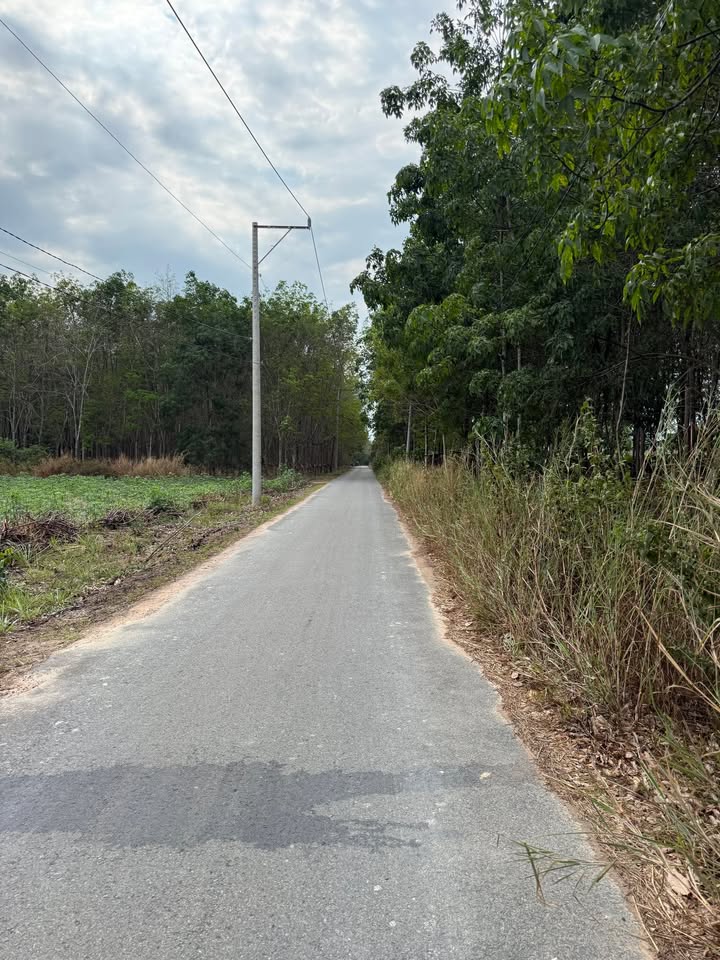 Đất nền Bàu Bàng 195m² giá 780 triệu - Sổ hồng sẵn sang tên