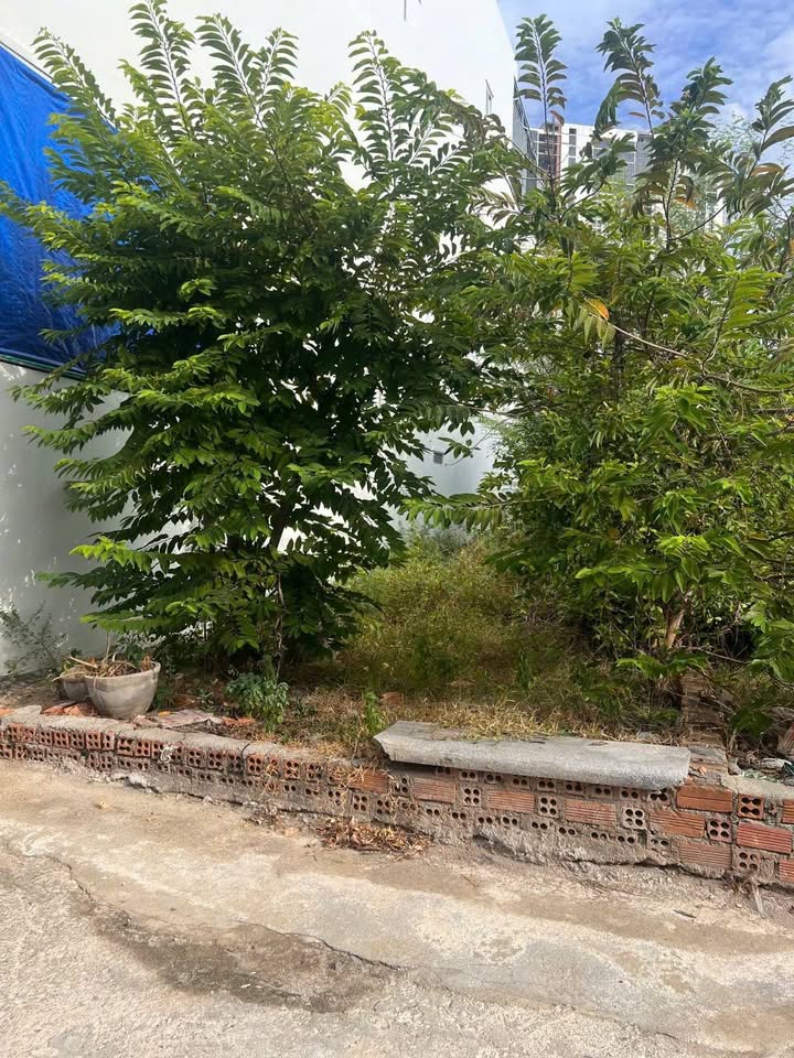 Đất nền Vũ Hữu Hòn Xện Nha Trang 80m² 5.6 tỷ - Tiềm năng tăng giá