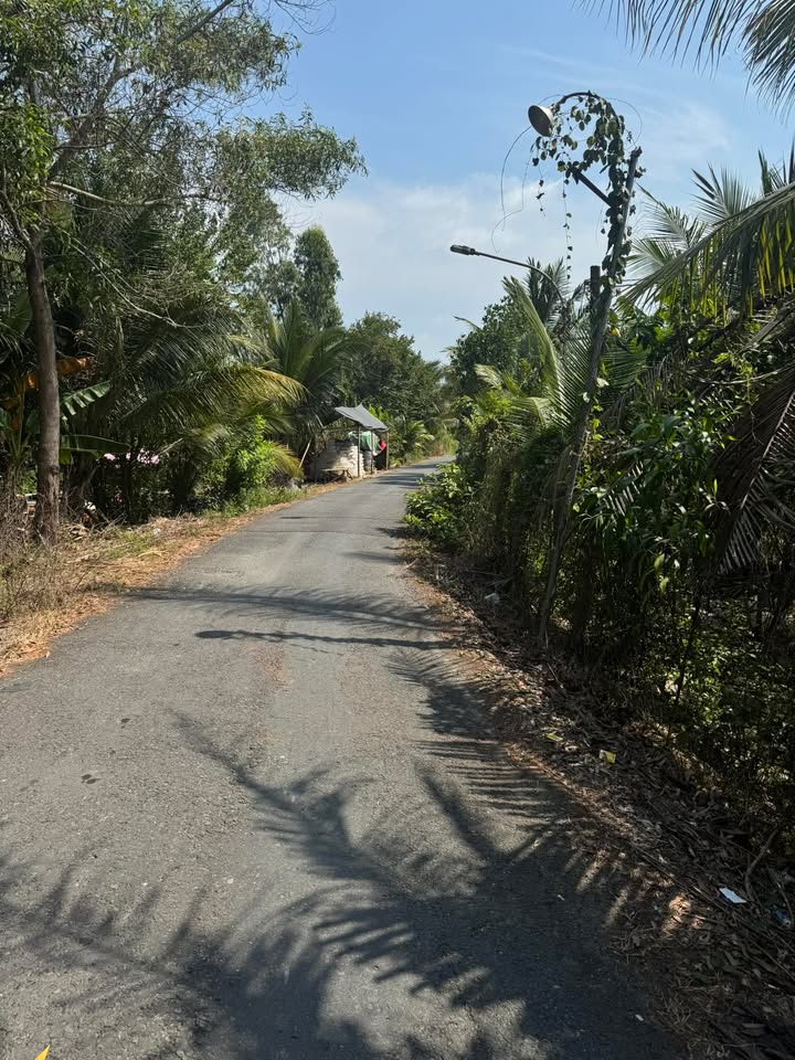 Đất Vườn Mặt Sông Lớn Cai Lậy 500m² - Giá Đầu Tư 1.5 Tỷ