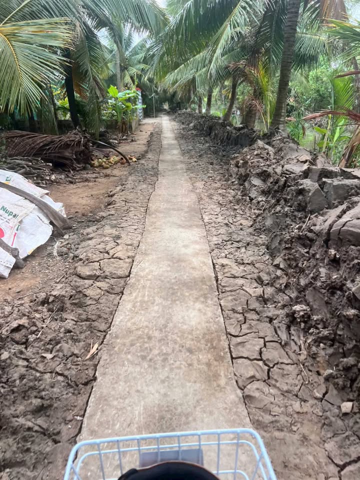 Đất vườn Châu Hưng Vĩnh Long 2500m² giá 850 triệu - Đầu tư dài hạn!