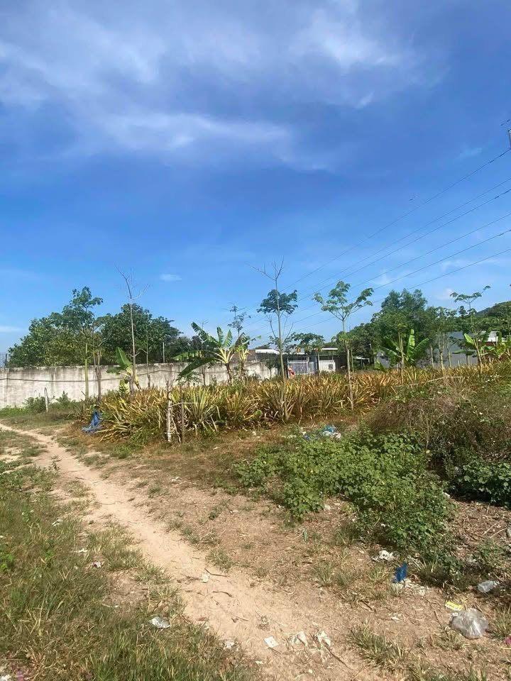 Đất Nền 175m² Xuân Lộc, Đồng Nai - Giá Sốc 180 Triệu, Sẵn Sổ