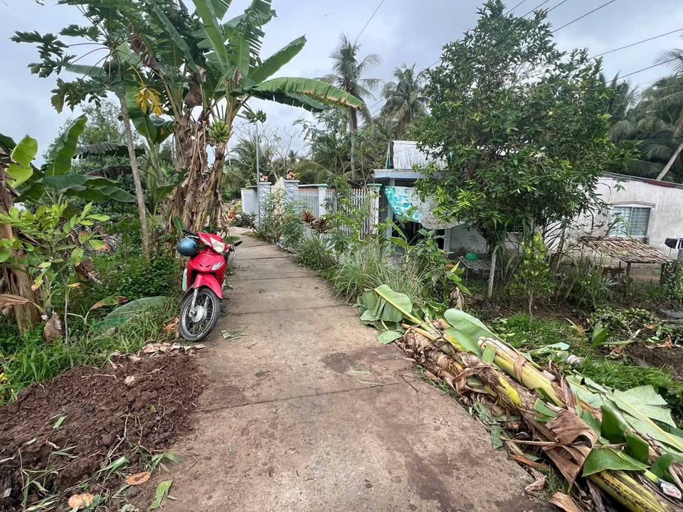 Bán Đất Vĩnh Long 125m² - 190 Triệu/Nền, View Sông, Gần Chợ