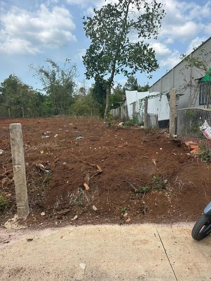 Đất nền Xuân Thọ 145m² - Sổ đỏ sẵn, giá cực tốt 570 triệu!