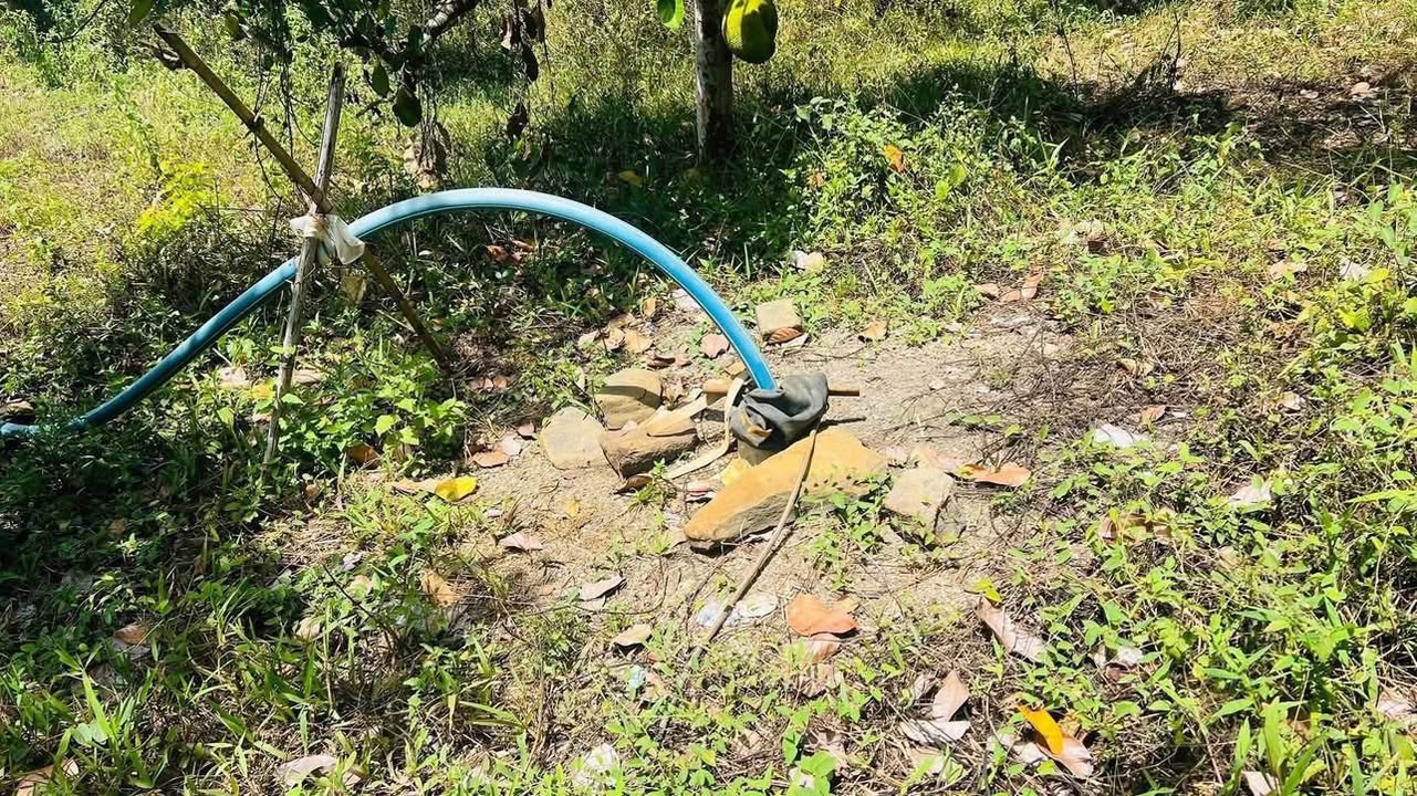 Đất Vườn Ngọc Định, Định Quán 2.5ha - Sổ hồng chính chủ, tiềm năng sinh lời!