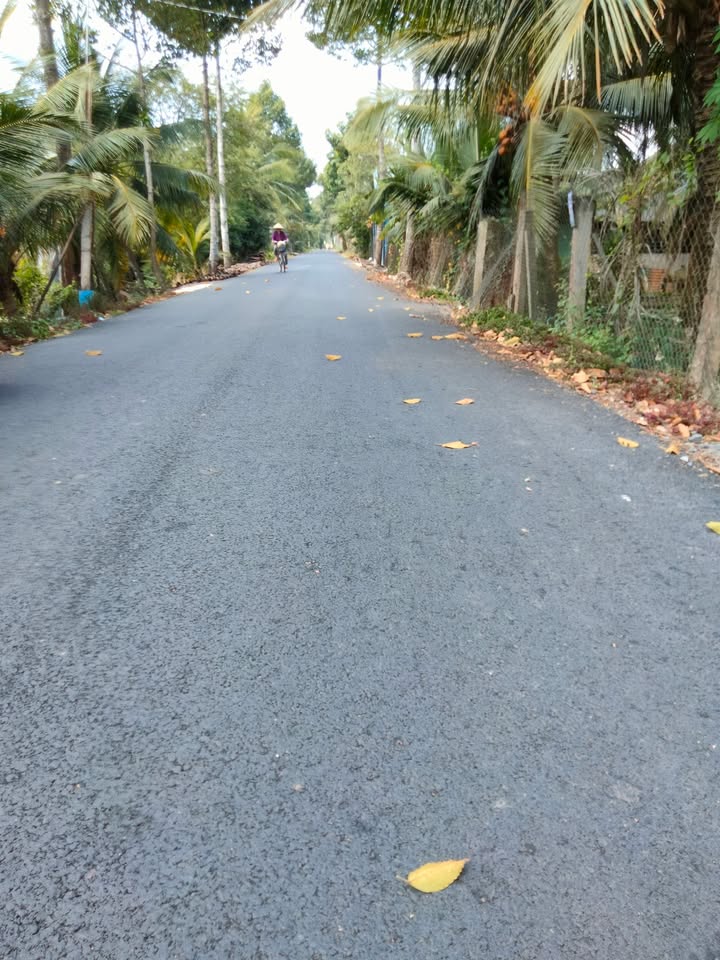 Đất nền mặt tiền Trần Thị Thơm, Mỹ Tho - 195m² thổ cư, giá 1.55 tỷ