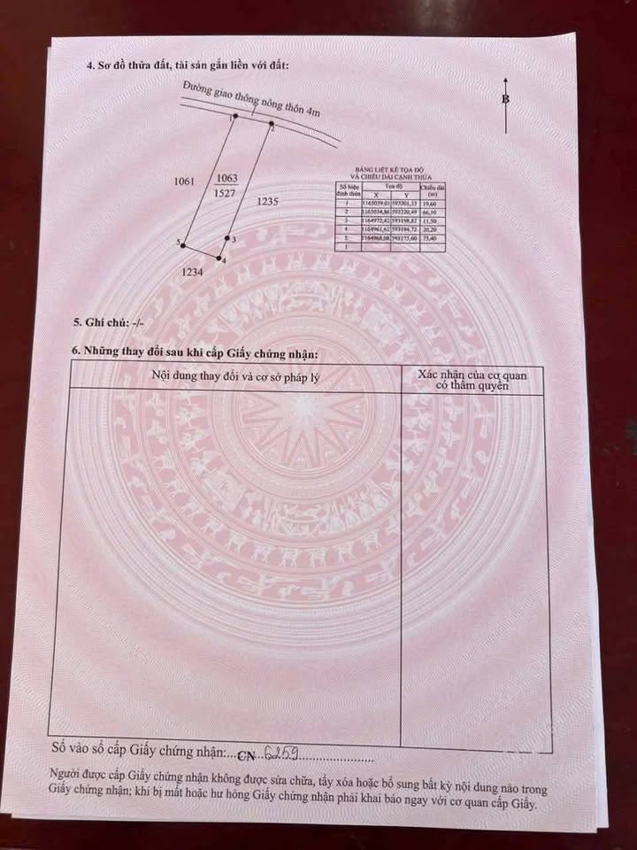 Đất Lúa 1527m² Mặt Tiền Nhựa Tân Lân, Cần Đước - Giá Đầu Tư 1.39 Tỷ