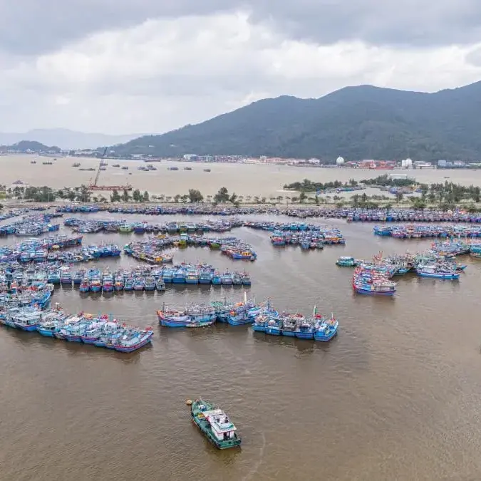 Đất nền Suối Đá Dĩ An 180m² - Tiềm năng tăng giá vượt trội!