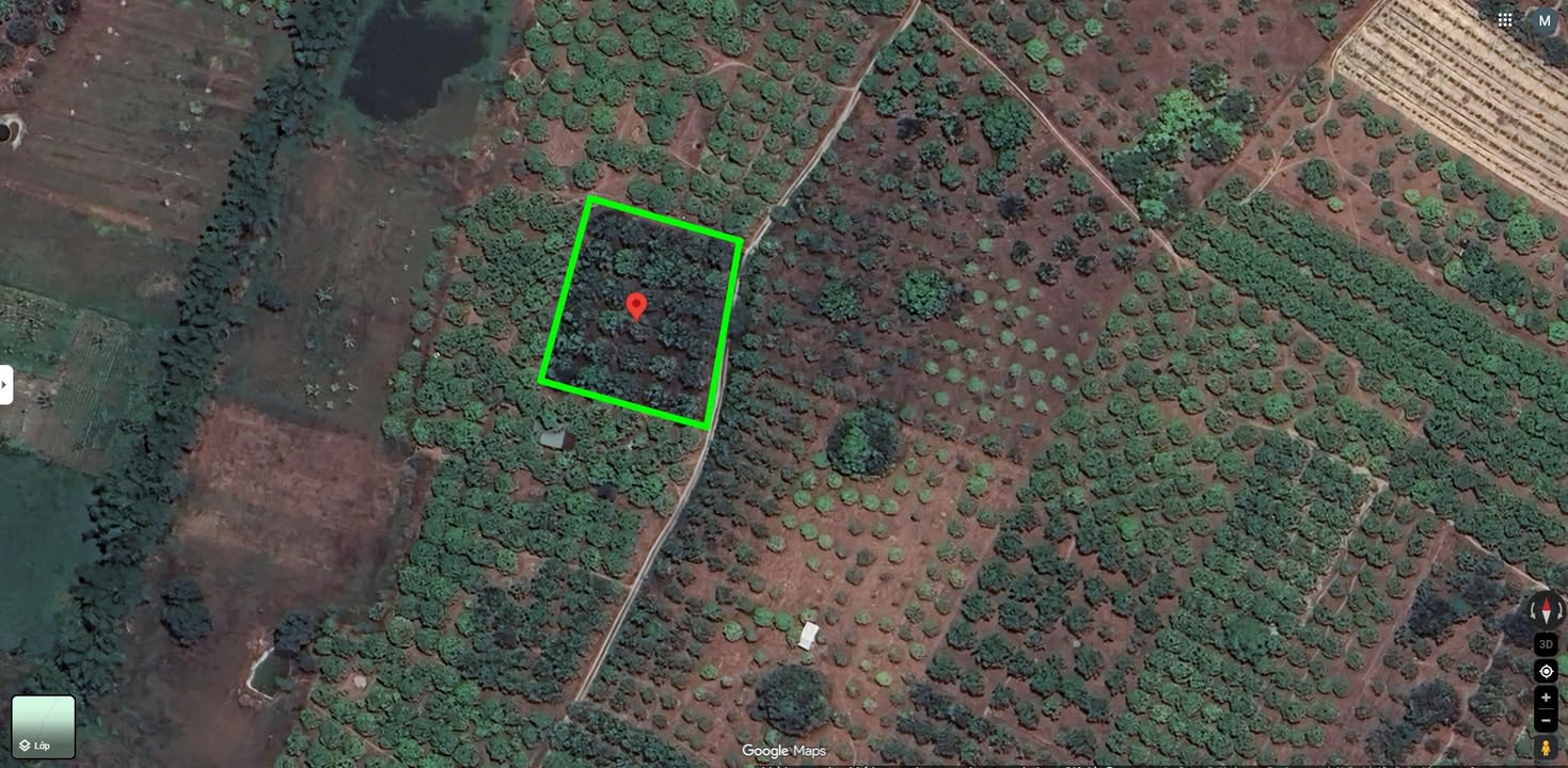 Đất Vườn Lô Góc Cam Lâm 2135m² - Giá 1.2 Tỷ - Sẵn Sổ Hồng