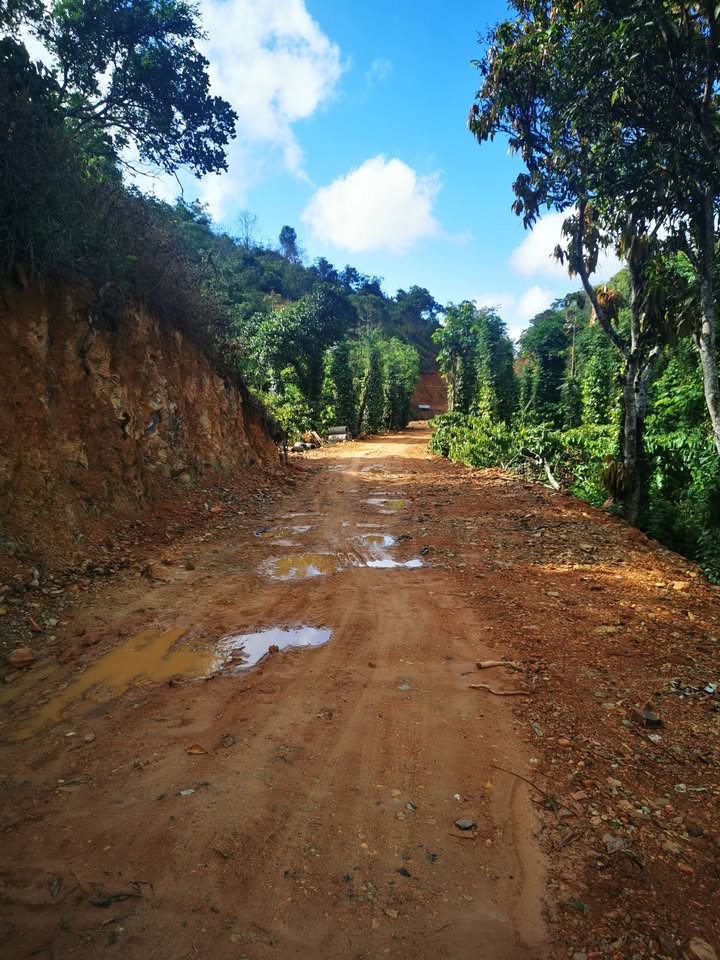 Đất Rẫy Đắk Drô Krông Nô 2ha - Sổ đỏ chính chủ, tiềm năng sinh lời!