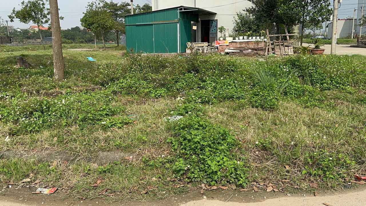 Bán Đất Sổ Đỏ 166.2m² Thị Trấn Tây Đằng, Ba Vì - Vị Trí Vàng, Giá Tốt