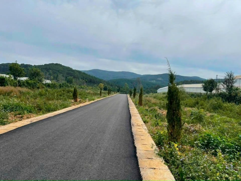 Đất nền Tà Nung Đà Lạt 200m² - Sổ đỏ chính chủ!