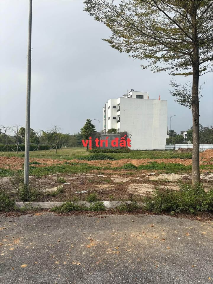 Đất nền Vĩnh Yên Center 100m² - Sổ đỏ chính chủ, tiềm năng cực lớn