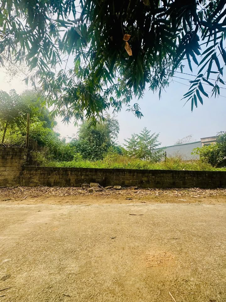 Đất nền Tiên Kiên Lâm Thao 120m² - Đất thổ cư 100%!