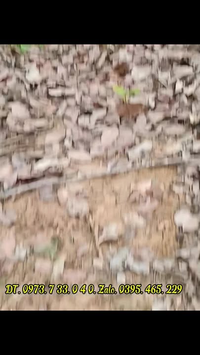 Đất vườn Đồng Xuân 35.000m² 2.3 tỷ - Đầu tư dài hạn!