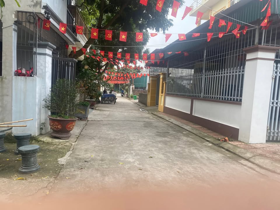 Đất nền Ninh Mỹ, Hoa Lư 100m² - Sổ đỏ chính chủ, tiềm năng tăng giá!