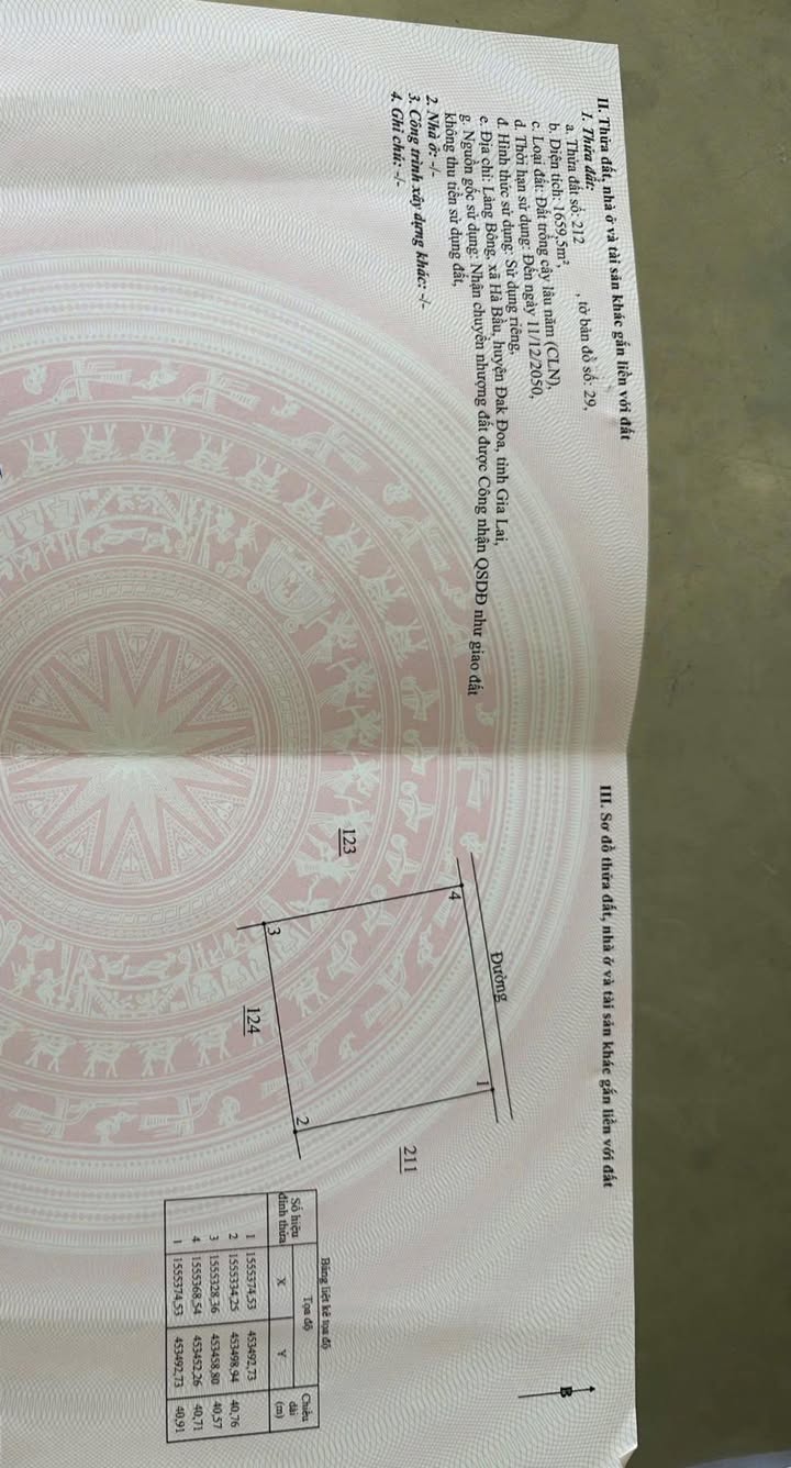 Đất nền Biển Hồ, Pleiku 1636m² - Cơ hội đầu tư phân lô vàng