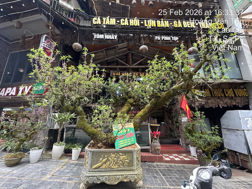 Đất nền Hoàng Văn Thụ 135m² - Sổ đỏ, Dòng tiền 6 triệu/tháng!