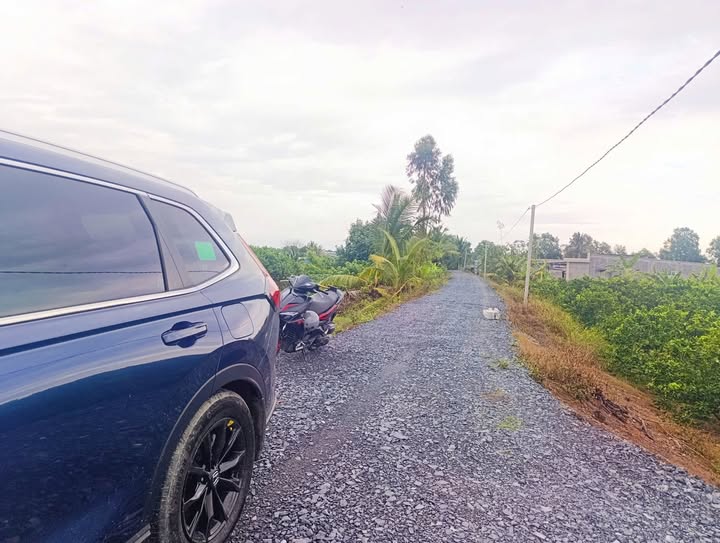 Đất Vườn Thạnh Lợi Long An 650m² - Nghỉ Dưỡng Lý Tưởng!