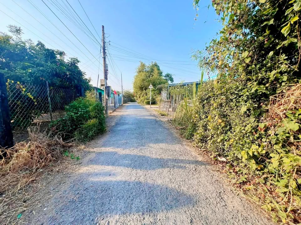 Đất nền Gò Công Đông 595m² giá 550 triệu - Đường nhựa, thổ cư sẵn
