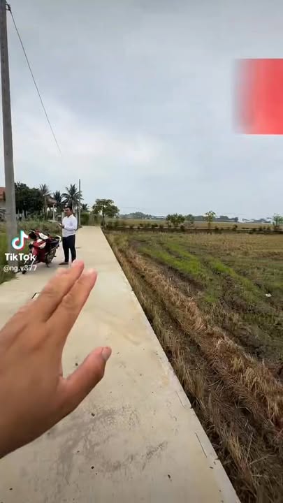 Đất nền 115m² Cần Giuộc - Sổ đỏ cầm tay, công chứng ngay!