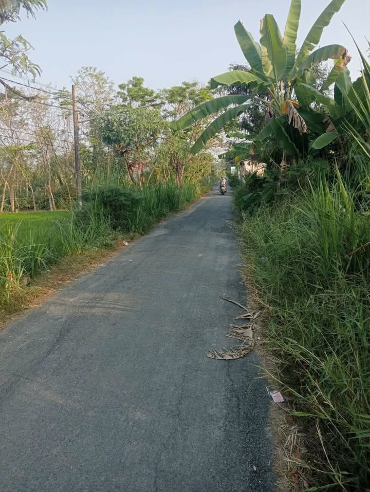 Bán Đất Mặt Tiền Nhựa Cần Đước 2448m² - Giá Đầu Tư 1.8 Tỷ