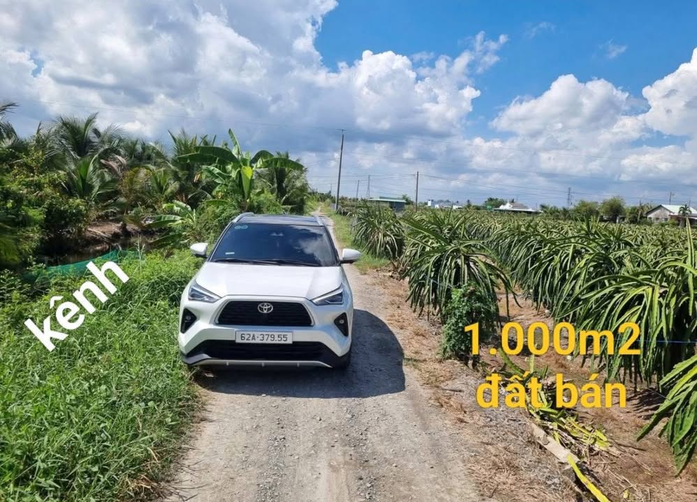 Đất nền Vĩnh Công, Long An 1000m² giá 950 triệu - Đường to ô tô