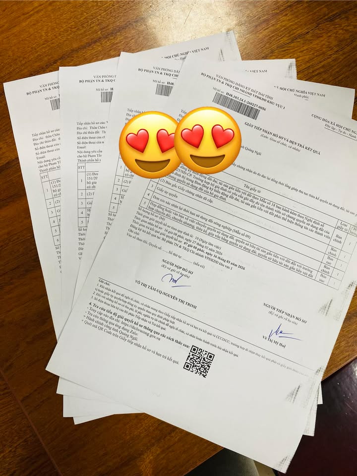 Đất Nền 6840m² Bình Sơn, Quảng Ngãi - Mặt Tiền Đường Nhựa Lớn, Giá Tốt