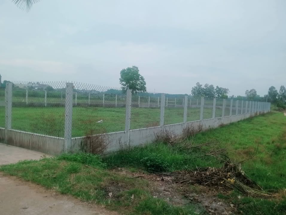 Đất Vườn Tịnh An, Quảng Ngãi 100.000m² giá 5 tỷ - Đầu tư dài hạn!