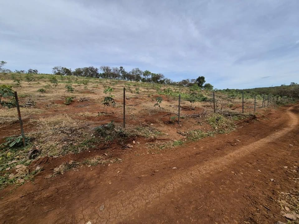 Đất vườn Thọ Sơn, Bù Đăng 1.8ha – Tiềm năng đầu tư dài hạn!