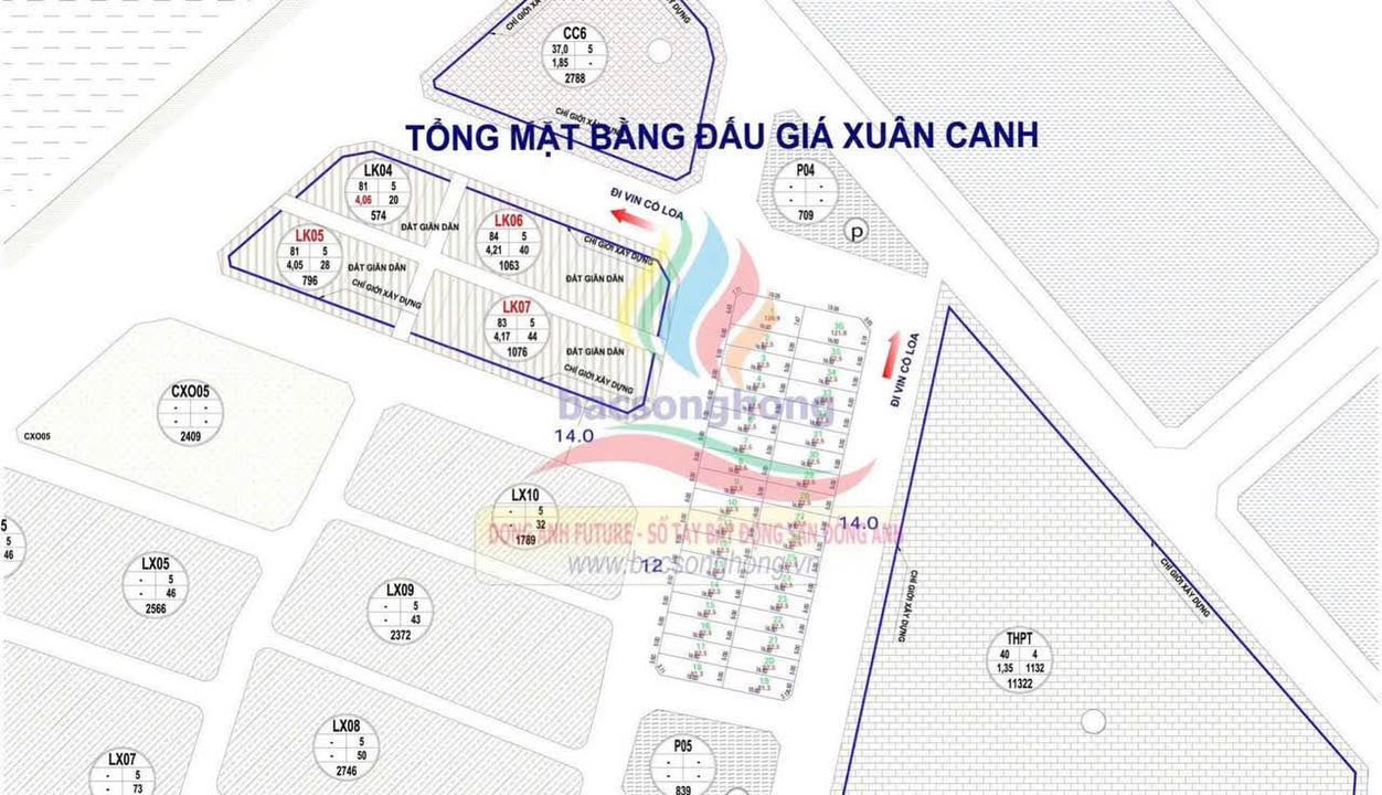 Đất đấu giá Xuân Trạch Đông Anh 80m² - Tiềm năng tăng giá rõ rệt